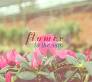 May quotes n saying: Be like a flower and turn your face to the sun ...