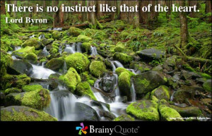 Instinctive Quotes