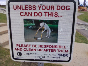 bfaaf6fb20c141ee355c805bca3e0830-absurd-dog-poop-sign.jpg