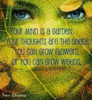 ... flowers. Or you can grow weeds. http://makeovercoaching.com/ #