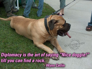 ... : Diplomacy quotes, irish diplomacy quote, quotes about diplomacy