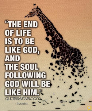 The end of life is to be like God, and the soul following God will be ...