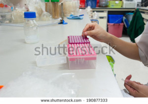 Serious female scientist takes aliquote from enzyme tube - stock photo