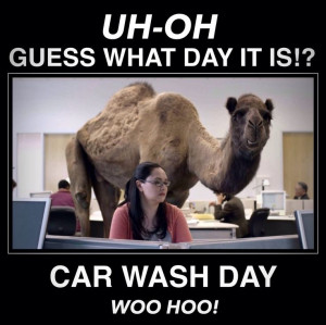 Happy #CarWash Day!
