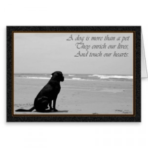 death_of_a_pet_dog_death_sad_dog_looking_out_card ...