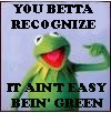 Kermit The Frog Picture