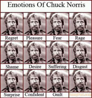 Emotions Of Chuck Norris Funny Picture