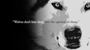 Wolves don't lose sleep.[1920x1080][OC]
