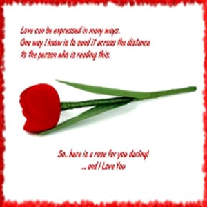 Cute Valentine's Quotes for Him