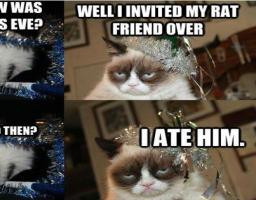 What Happened On Grumpy Cat's Party On New Years Eve Funny Pic