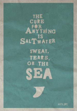 Surf quotes and inspirations /