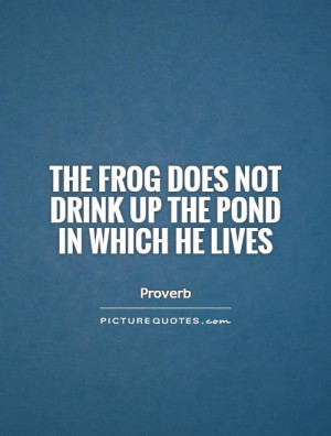 Proverb Quotes Frog Quotes