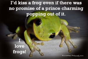 love frogs