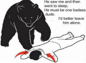 bear-safety.png