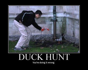 Duck Hunt... 9 of 13