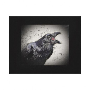 Doth Quote the Raven Evermore Stretched Canvas Prints