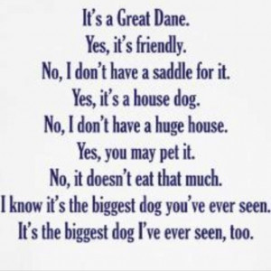 Great Dane owner questions