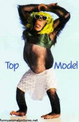 funny model monkey top model