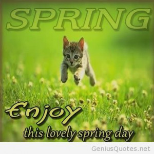 Enjoy the Spring quote