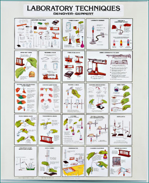 laboratory techniques chart key lab procedures at a glance a full time ...