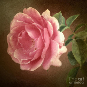 There is no aphrodisiac like innocence.