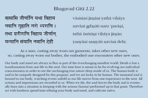 Bhagavad Gita 2.22 Reincarnation