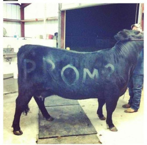 Redneck prom proposal I thought of Caitlyn Crumes when I saw this.