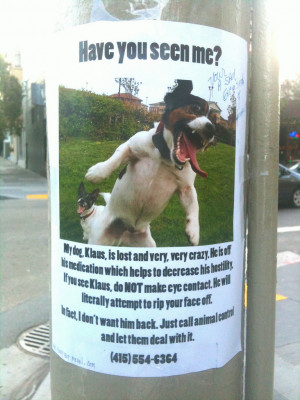 photo lost-dog-poster-1.jpg