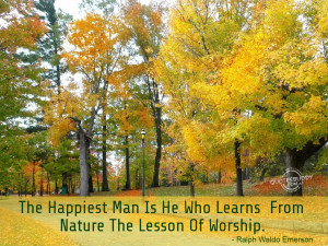 Be Learner Of Nature