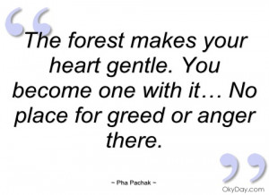 the forest makes your heart gentle pha pachak