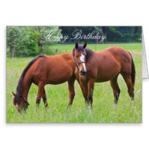 horse_beautiful_custom_horses_birthday_card ...
