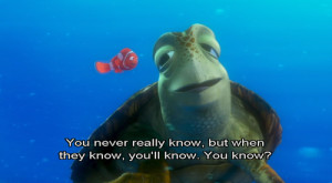 378 notes 28 january 2011 tagged finding nemo funny turtle quote ...