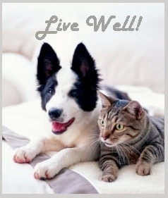 Living wel l and beautifully and justly are all one thing. Socrates