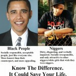 funny black people quotes black people and niggers funny black people ...