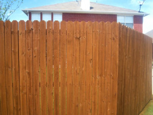 Fence Stain and Repair Pictures