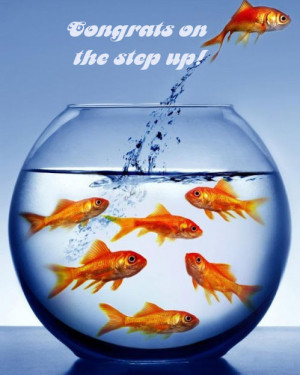 Funny card for promiton at work with greetings: congrats on the step ...