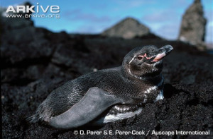 quotes about liars and love