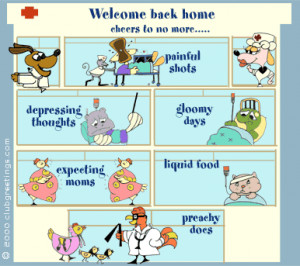 spreading smiles every minute with FlowGo’s cute cartoons and funny ...