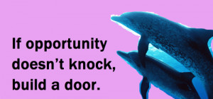 Inspirational Dolphin Quotes