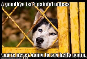 via: quotesvalley.com