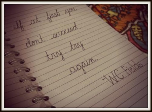 Wc fields quotes and sayings deep moving on success