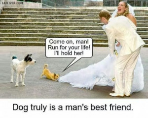 funny-wedding-dog-man-friend