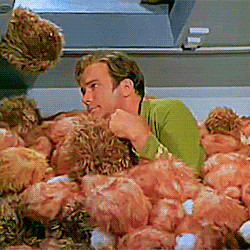 ... shatner James T. Kirk tribbles the quality is horrible but whatever