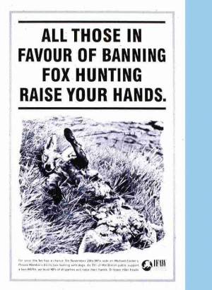 Funny Anti Hunting Quotes