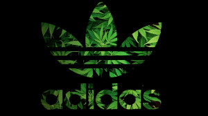 Adidas X Weed Betweenthepalmtrees.tumblr.com