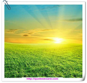 ... if I bought a cemetery, people would stop dying.-Quotes-about-Love