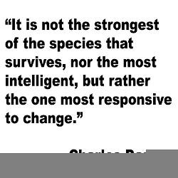 darwin_survival_quote_oval_decal.jpg?height=250&width=250&padToSquare ...