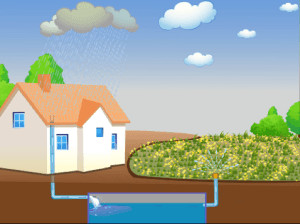 Image: Rainwater tank watering the garden)