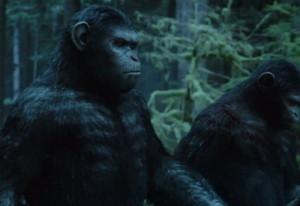 koba vs caesar dawn of the planet of the apes quotes