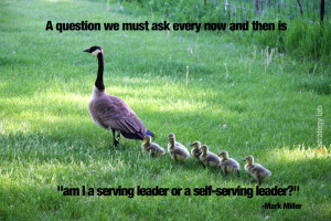 are-we-a-serving-leader-or-a-self-serving-leader-mark-miller-quote